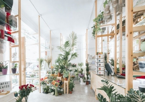 花店裝修設計裝修圖片,花店裝修設計裝修布局圖
