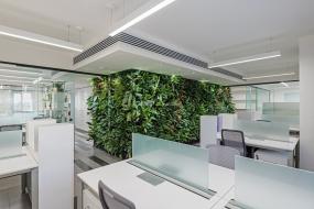 loft辦公室頂面裝修效果圖片